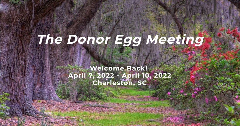 screenshot 2022 03 03 at 12 39 35 the donor egg meeting png