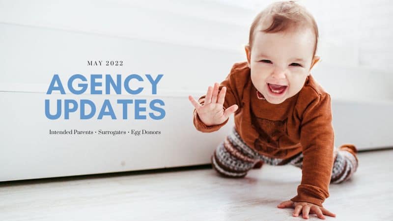 surrogacy updates may 2022