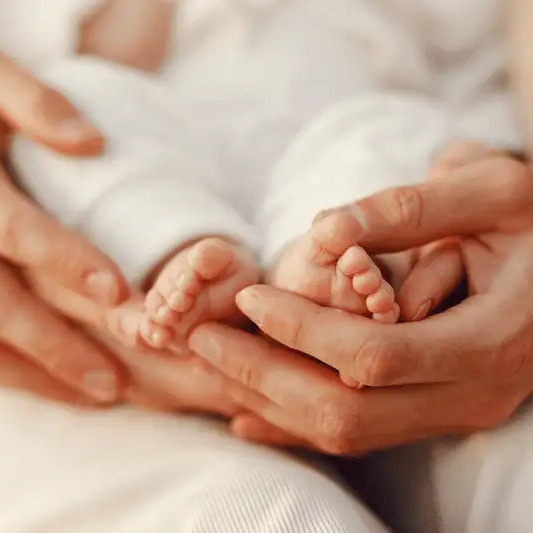 surrogacy-program-fees