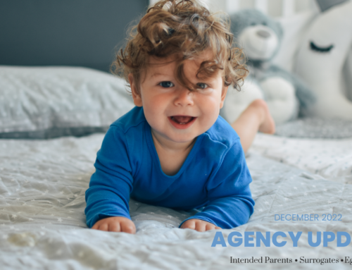 TeamFSC Agency Updates – December 2022