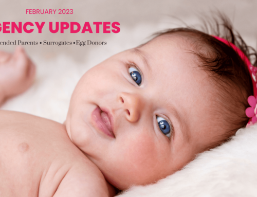 TeamFSC Agency Updates – February 2023